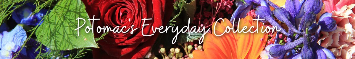 Potomac's Everyday Collection